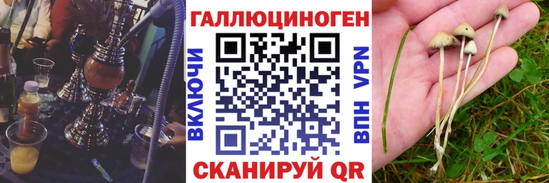 МЕГА как войти Бобров Галлюциногенные грибы Psilocybine cubensis